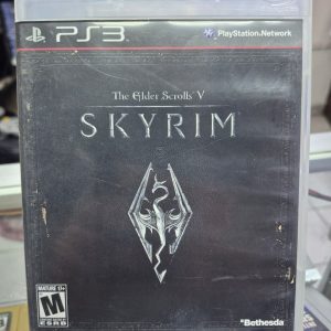 SKYRIM USADO