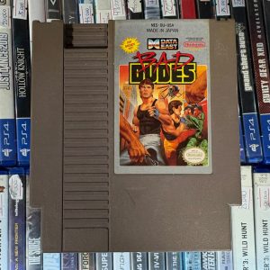 BAD DUDES